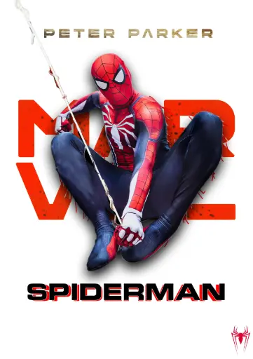 Spiderman 02 | Metal Poster